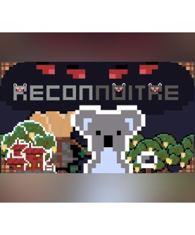 Reconnoitre Steam Key GLOBAL